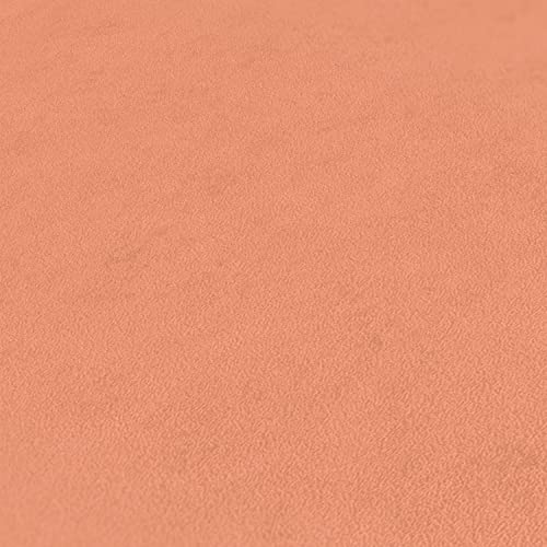 Papier peint intissé arcade pour masquer défauts muraux rouleau 10m - 4