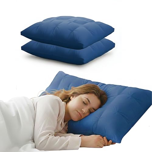 Image of Luxury Hotel Bed Pillow Set of 2, Premium Microfiber Filling, Jacquard Fabric, Concealed Zipper, Breathable Washable Cover, Blue Comfort Bedding Cushion Soft, 68 x 45 x 25 cm