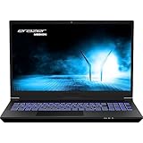 Leistungsstarkes Gaming Notebook mit einem Intel Core i5-13500H Prozessor (3,50 GHz, bis zu 4,70 GHz, 12 Kerne (4 P-cores & 8 E-cores), 16 Threads und 18 MB Intel Smart Cache)