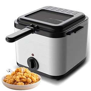 Elektrische friteuse van 2,5 liter, elektrische friteuse van 1000 W, roestvrijstalen vetfrituurmachine op aanrecht, aanrecht van friteuse met verwijderbare mand en kijkvenster, voor restaurant thuis