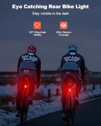 ISEYOU 2-Pack Waterproof Tail Light