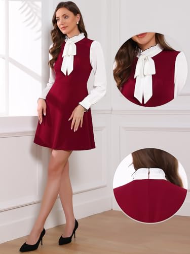 Image of Allegra K Tie Neck Dresses for Women's 1960s Vintage Long Sleeve Contrast Color Dress