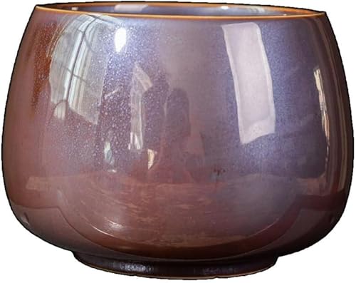 Conutoo ƒp [P[X t  Β g p H|i v[g ڂ  k   e Vv e (950ml,uE)