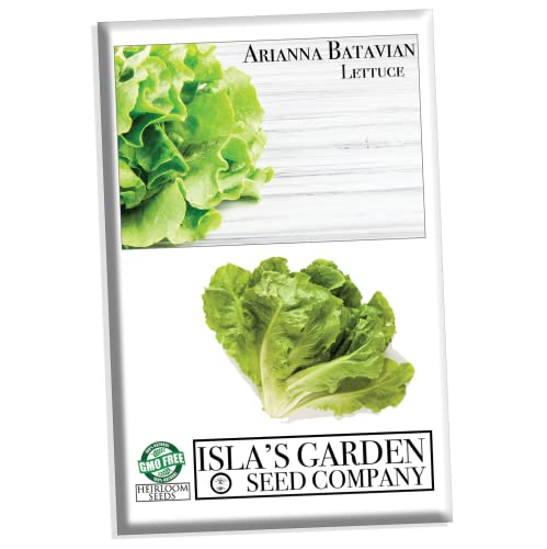 Arianna Batavian Lettuce Seeds, 1000+ Heirloom Seeds Per Packet, (Isla's Garden Seeds), Non Gmo Seeds, Botanical Name: Lactuca Sativa, Great Home Garden Gift #TOP1