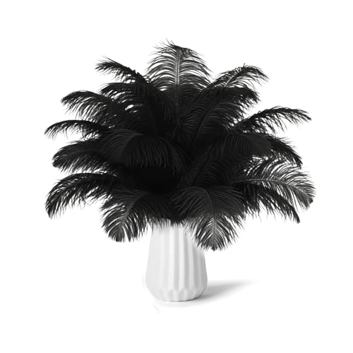 NEWONG 30pcs Black Ostrich Feathers Natural Bulk 8-10inch(20-25cm) Vase Craft Wedding Home Party Centerpieces Christmas Day Decoration