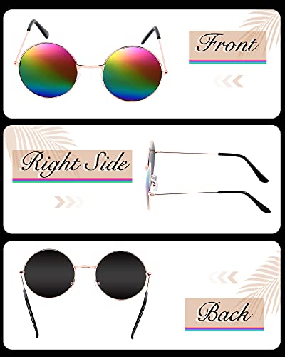 Xuhal Gay Pride Sunglasses LGBTQ Pride Glasses Retro Round Polarized Rainbow Sunglasses Classic Hippie Tinted Glasses4
