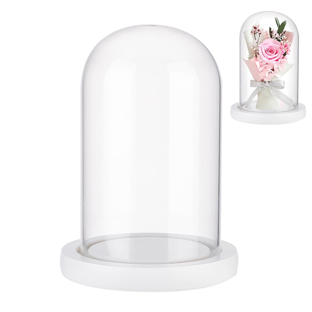 NBEADS Lot de 10 mini cloches dôme en verre transparent avec base en bois 2 couleurs pour la Saint-Valentin, la fête des mères, 4,1 x 2,5 cm