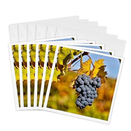 Cartes de vœux Italie toscane raisins 15 x 15 cm le lot de 6 pour accompagner vos cadeaux