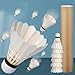 12 Pcs Shuttlecocks, Professional Badminton Shuttlecock Lightweight Training Sport Badminton Balls High Speed Badminton Birdies