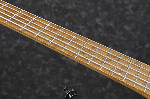 Ibanez EHB1005MS-BKF – Basse électrique 5 cordes headless fanned fret – Black Flat (+housse) - Les Beatles, Paul McCartney, John Lennon, RIngo Starr, George Harrison Ibanez EHB1005MS-BKF - Basse électrique 5 cordes headless fanned fret - Black Flat (+housse) – Image 8