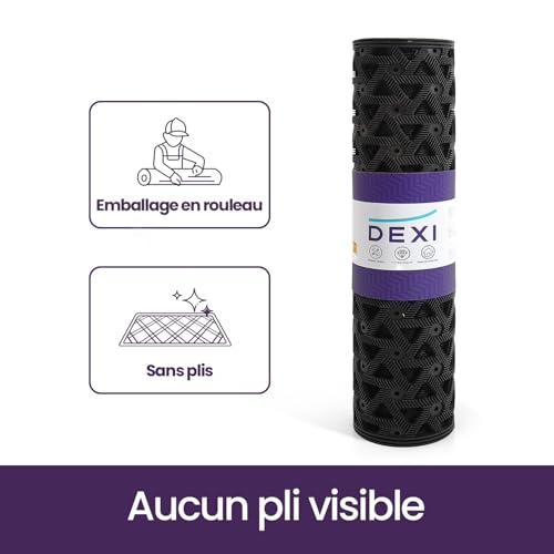 DEXI Paillasson Exterieur Entree Resistant Pluie 48,5x75cm Noir – vue 9