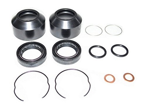 シグナス-X　(フロントフォーク + クラッチセット + LED 12V) 41mdOhzLmKL.jpg