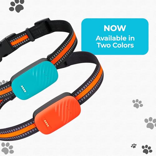Image of FETACA Smart 4G Pet GPS Tracker Free 12 Month 4G Data SIM and App Subscription for Dogs, Adult Cats, and Other Animals | Real-Time Tracking with Geo-Fencing and Alerts | Lightweight Design