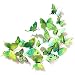 JYPHM 24PCS Butterfly Wall Decal Removable Refrigerator Magnets Mural Stickers 3D Wall Stickers for Kids Home Room Nursery Decoration Wall Art Green