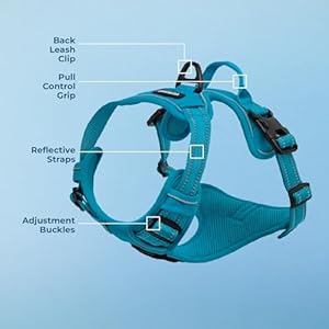 Voyager-Dog-Harness-Dual-Leash-Attachment-No-Pull-Control-Adjustable-Soft-but-Strong-Pet-Harness-for-Medium-and-Large-Dogs-with-3M-Reflective-Technology-Turquoise-M-Chest-20-25 - Cucciolini Doodles   Voyager-Dog-Harness-Dual-Leash-Attachment-No-Pull-Control-Adjustable-Soft-but-Strong-Pet-Harness-for-Medium-and-Large-Dogs-with-3M-Reflective-Technology-Turquoise-M-Chest-20-25
