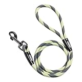 NVTED Waterproof Dog Leash Durable Waterproof Odor Proof Premium PVC Pet Lead Fast Clasp Adjustable Lengths for Traffic Control Safety for Medium Large Dogs - 4ft, Green