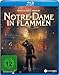 Notre-Dame in Flammen [Blu-ray]