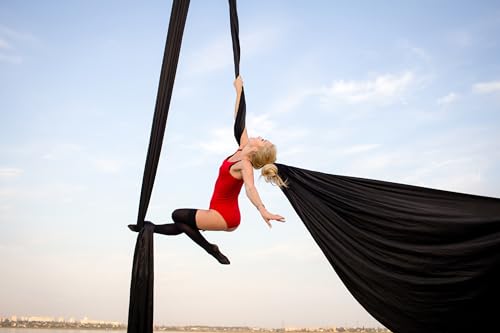 image for F.Life Aerial Silks Standard Kit Pilates Yoga Flying Swing Aerial Yoga