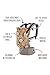 Tula Ergonomic Carrier, Message in A Bottle-Standard Size(Baby), 15-45 pounds (Standard, Shenandoah)