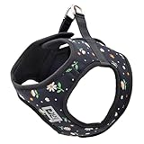 RC Pets Patterned Step in Cirque Harness | Breathable Mesh for Small Dogs | Easy Fit & Washable | All-Day Comfort | Daisies, Large