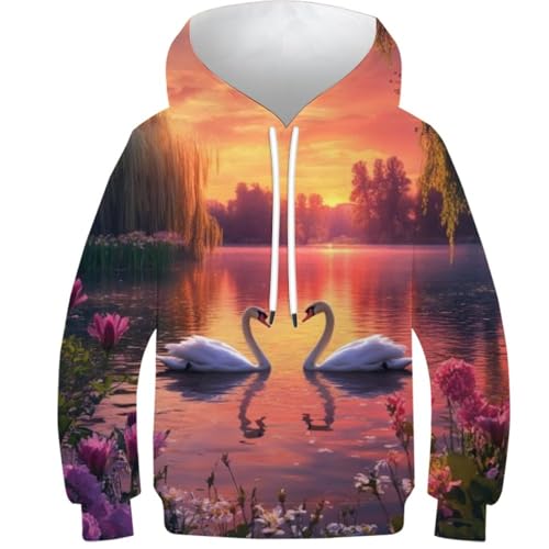 Cadeau pour garçons et filles sweat à capuche 3D enfants pull athlétique 13Y