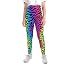 Zebra Stripes Print Rainbow