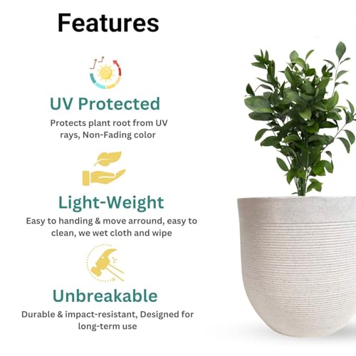 Image of Amazon Brand - Umi 10 Inch Large Plastic Planter Pot for Indoor Outdoor Plants | Big Size Garden Gamla UV Resistant Polymer Flower Pot | White Decorative Pot for Balcony, Garden, Terrace & Home Decor