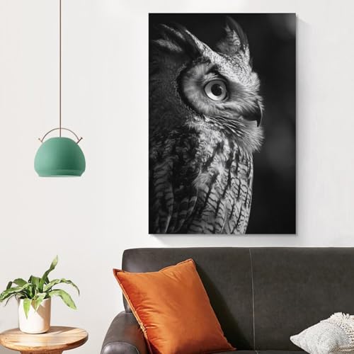 Impression d'art mural hibou rompre la monotonie d'un mur blanc - 4