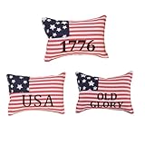 Plateau décoratif – jolie forme, ambiance fête nationale américaine, petit coussin décoratif