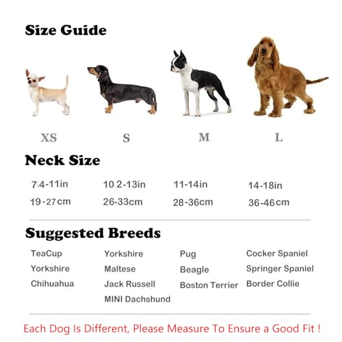 Individuelles Hundehalsband Aus Leder mit Namen, Verstellbares Halsband für Kleine, Mittelgroße Und Große Hunde, Punk- Und Gothic-Halskette mit Luxuriösen Initialen Und Buchstaben Aus Strass