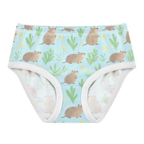GuoChe Organic Cotton Panties Breathable Panties Briefs Underwear for Kid