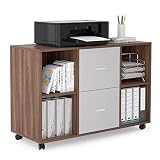 JUSTONE 2 Drawers 4 Open Storage Cabinets, Mobile Lateral Filing Cabinet, Printer Stand with Wheels