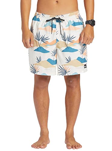 Quiksilver Men's Standard Everyday Mix Volley 17 Boardshort Swim Trunk3