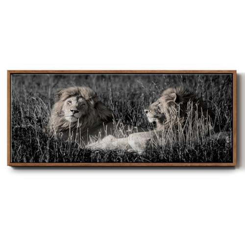 Renditions Gallery Animal Life Floater Framed Artwork Masai Mara Lion Couple Canvas Wall Art Prints & Paintings for Hotel Office Kitchen - 8"X20" WALNUT Frame GAL042