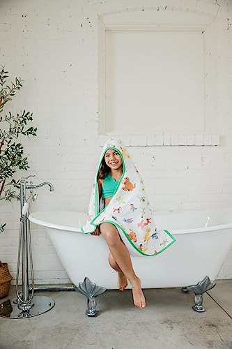 Image of Copper Pearl Hooded Bath Towels Premium Knit /Terry Cloth Toddler Towels with Hood, Pockets, and Cool Designs - Great to Gift and Make Bath Time Fun - Big Kids Hooded Towel, Sesame Friends