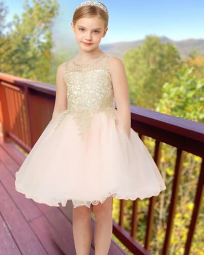 Tulle Flower Girl Dresses for Wedding Lace Beaded Princess Pageant Dress Sleeveless Birthday Party Gown2