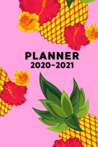 Planner 2020-2021: 2 Year Daily Weekly Monthly Calendar Planner Agenda ...