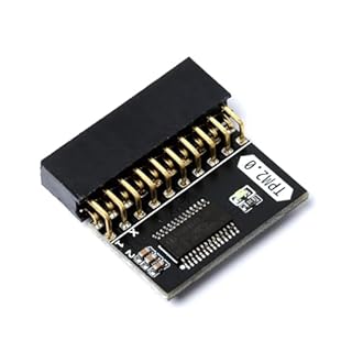 Tpm2.0 Encryption Security Module, Ga 20-1 Pin Remote Card for Update Win11 System, Memory Chip of DDR4 Compatible with Gigabyte Motherboard Platform