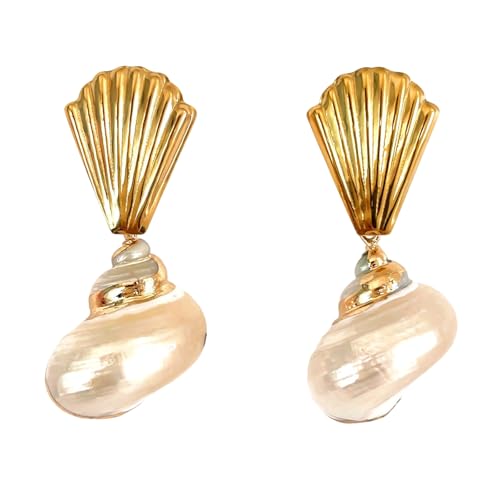 Boucles d'oreilles conque en acier inoxydable hypoallergénique pour femme