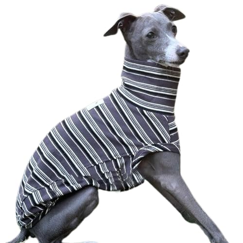 UOSIA O[nEḧߗ - ̊{Vc\tgRbgXgCv^NgbvTVcEBbybĝ߂̑XhbM[xXg