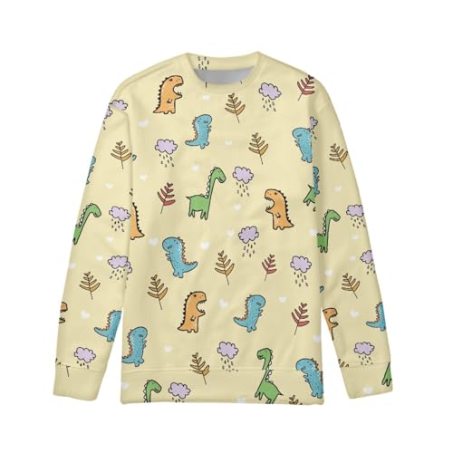 Boy Sweatshirts Cartoon Novelty Round Neck Pullover Dinosaur Graphic Tops Clothing Shirts 6-16T