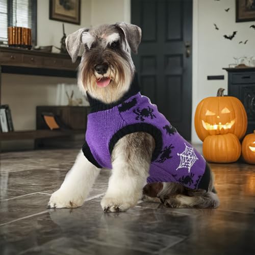 Pull d'Halloween pour chien tricoté protégeant du froid