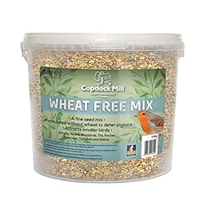 Copdock Mill Wild Bird Wheat Free Mix – All Year-Round Wild Bird Seed – Suitable for Small Birds – 100% Natural