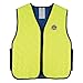 Ergodyne Chill-Its 6665 Evaporative Cooling Vest - Lime, X-Large