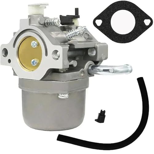 Carburateur pour Briggs & Stratton 590399 796077 pièce de rechange auto moto