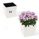 MELTOM Pflanzkübel aus Kunststoff in Hochglanz Farbe mit Herausnehmbaren Einsatz (Creme, M-19,5cm)