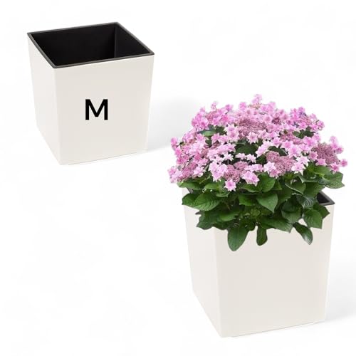 MELTOM Pflanzkübel aus Kunststoff in Hochglanz Farbe mit Herausnehmbaren Einsatz (Creme, M-19,5cm)