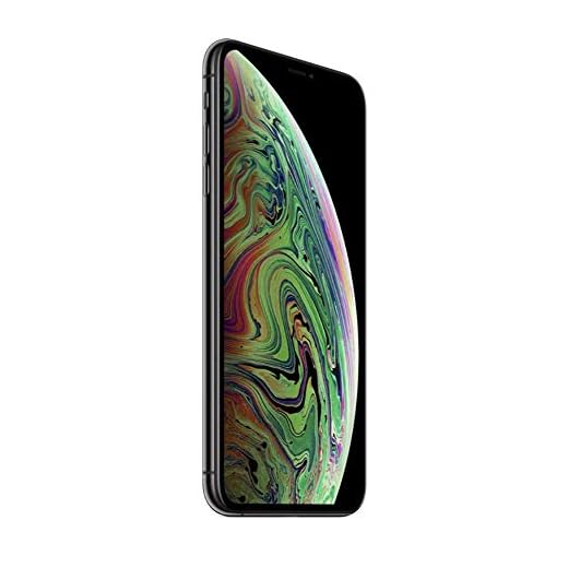 Apple iPhone XS Max (64 GO) - Gris Sidéral