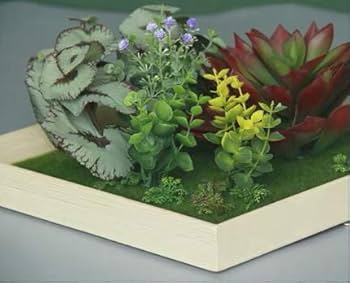 多肉の壁掛けインテリア Amazon｜【フェイク クグリーン 壁掛け 多肉植物】 エアー