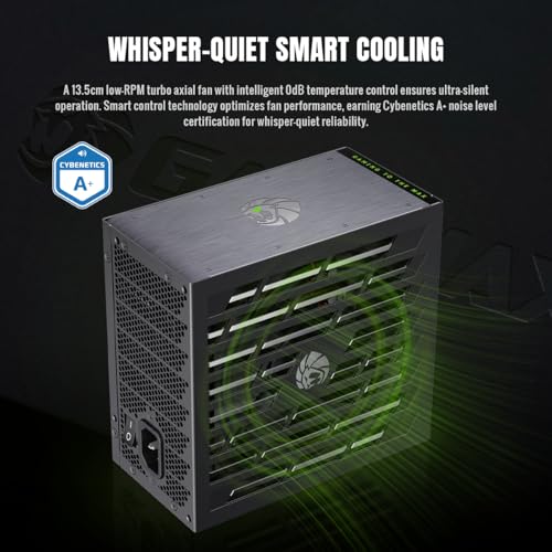 GAMEMAX LION CORE 1000W (LION CORE 1000P) の商品画像 3